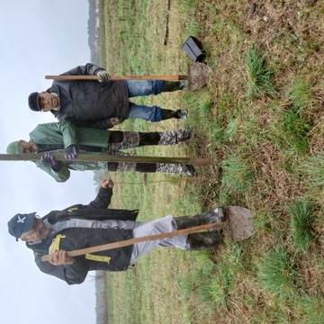 Sajenje dreves ob ribniku 3